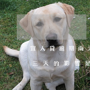 宜人貸逾期兩天，費用過高如何解決？逾期三天的影響是什么？